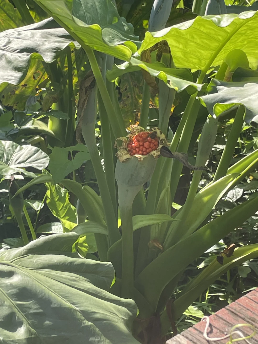 大自然~天然氧吧,专治“不开心”