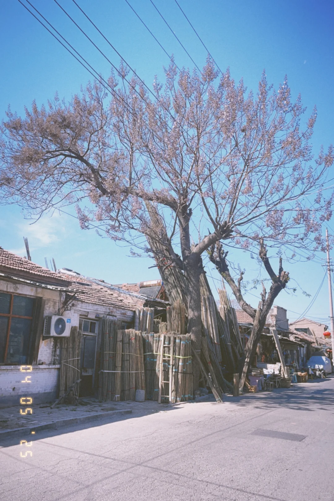 山东临清｜被严重低估的运河古城！