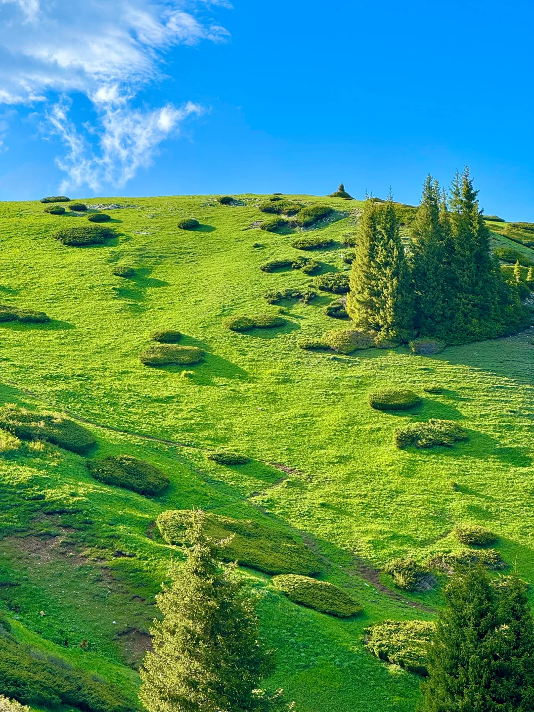 在赛里木湖拍到了我的人生live