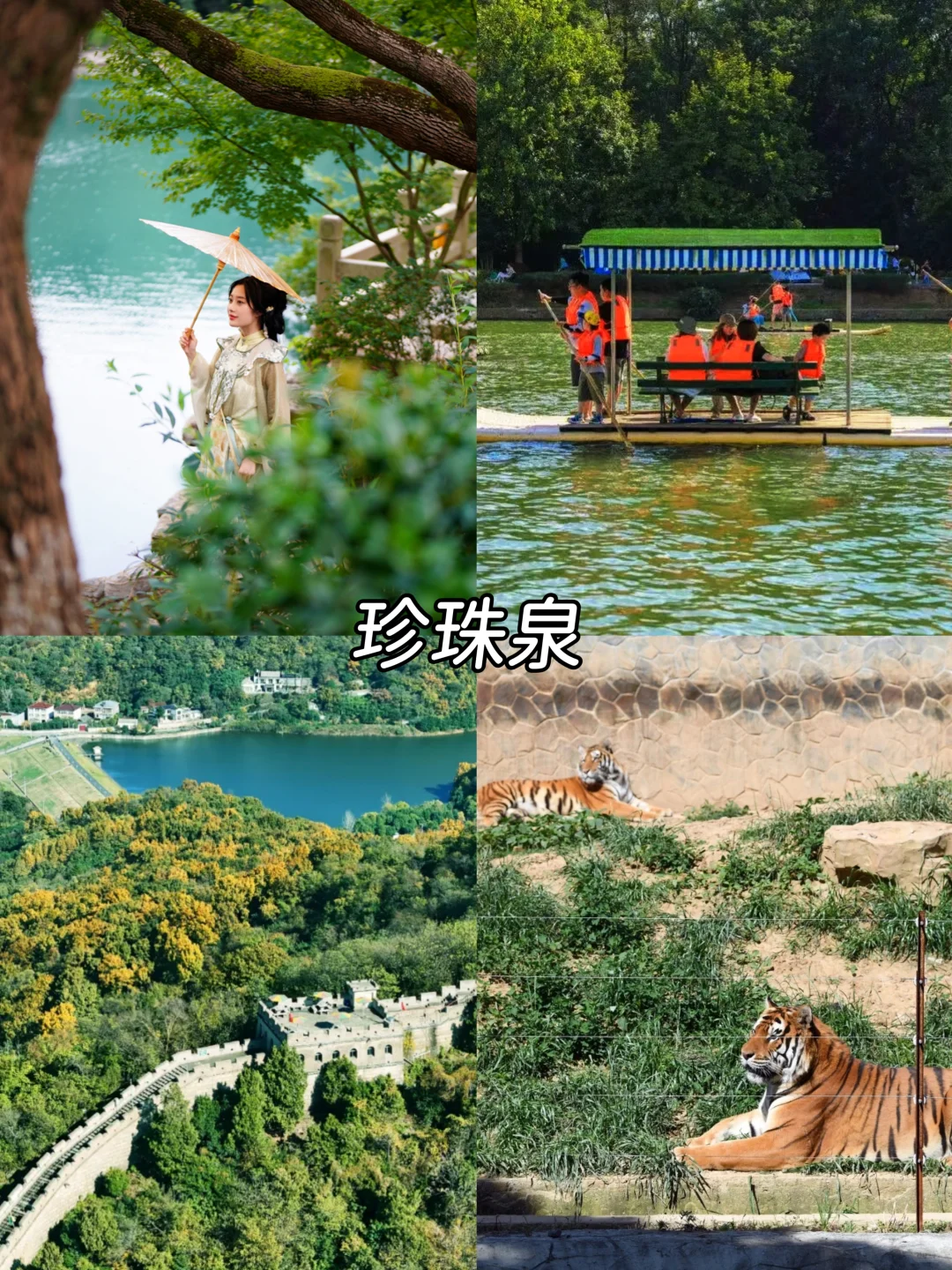 🌿南京夏季避暑团建攻略💦玩转清凉秘境！