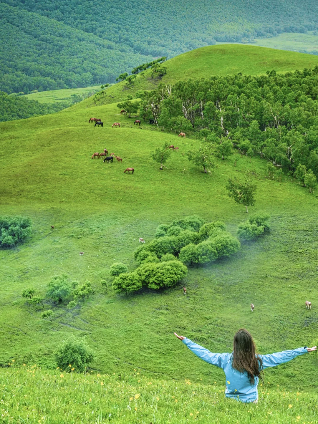 北京自驾天堂🚗京郊阿勒泰❗️20 ℃的漫画草原