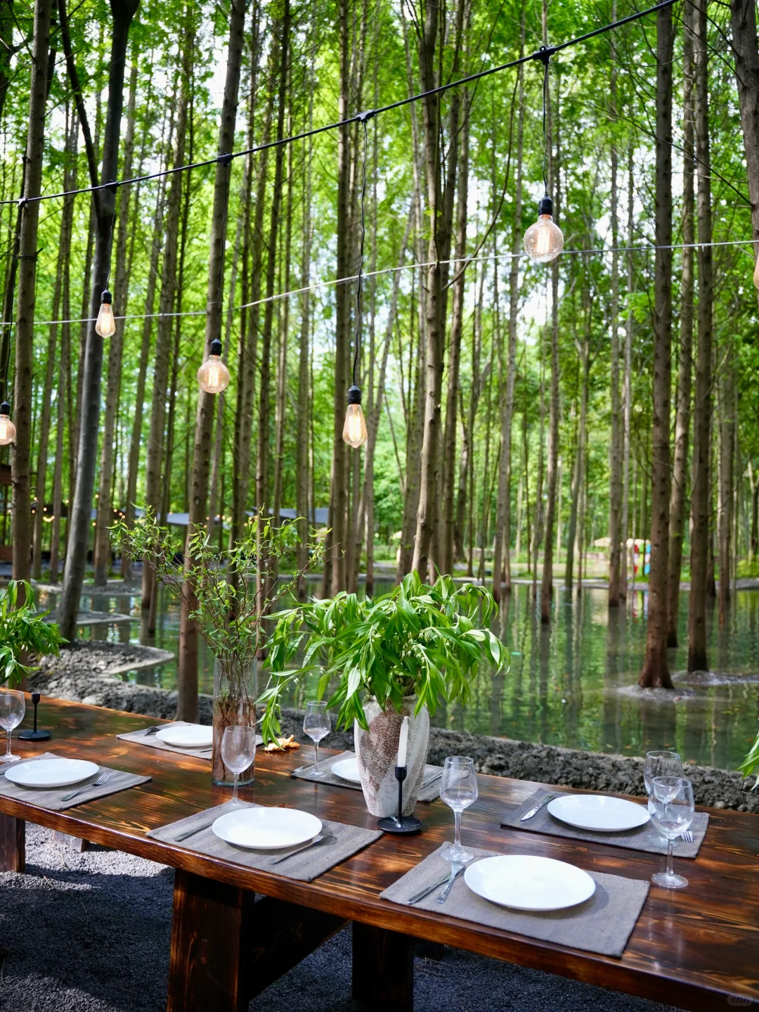 🍃五一还没想好去哪？冲这个神仙森林营地！！