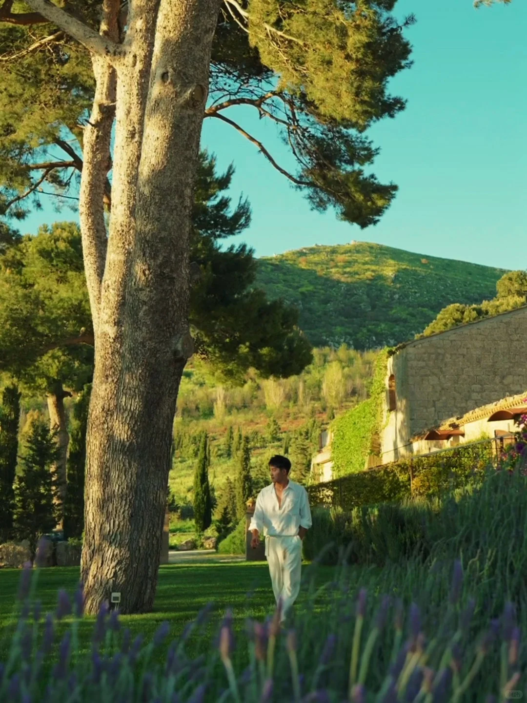 live图的意义｜属于西西里岛的夏日长梦