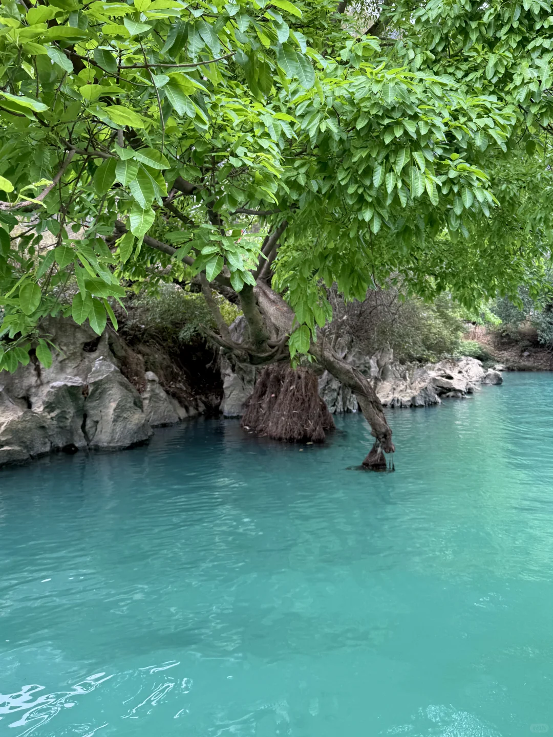 本来以为荔波已经够美了！直到我去了这里……