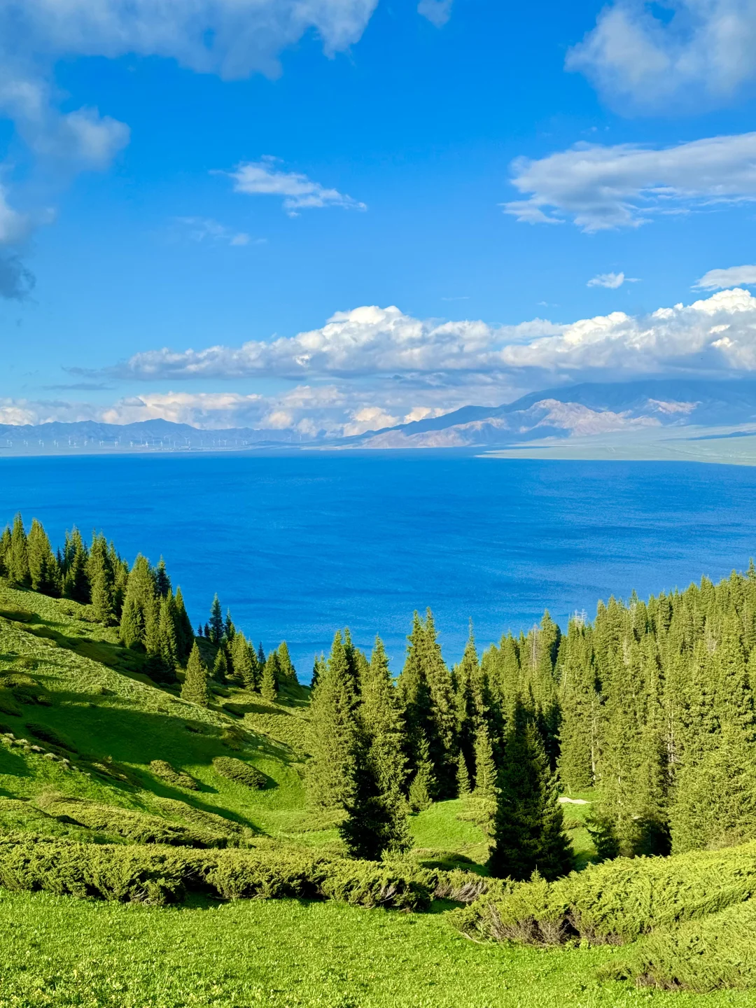 在赛里木湖拍到了我的人生live