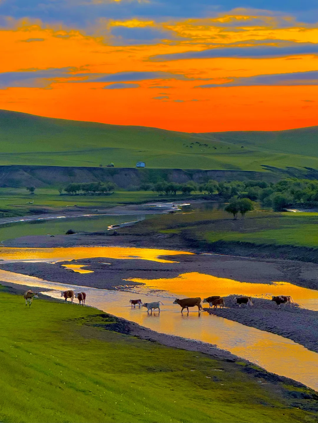 Live图的意义，呼伦贝尔第一天就美哭了😢😢