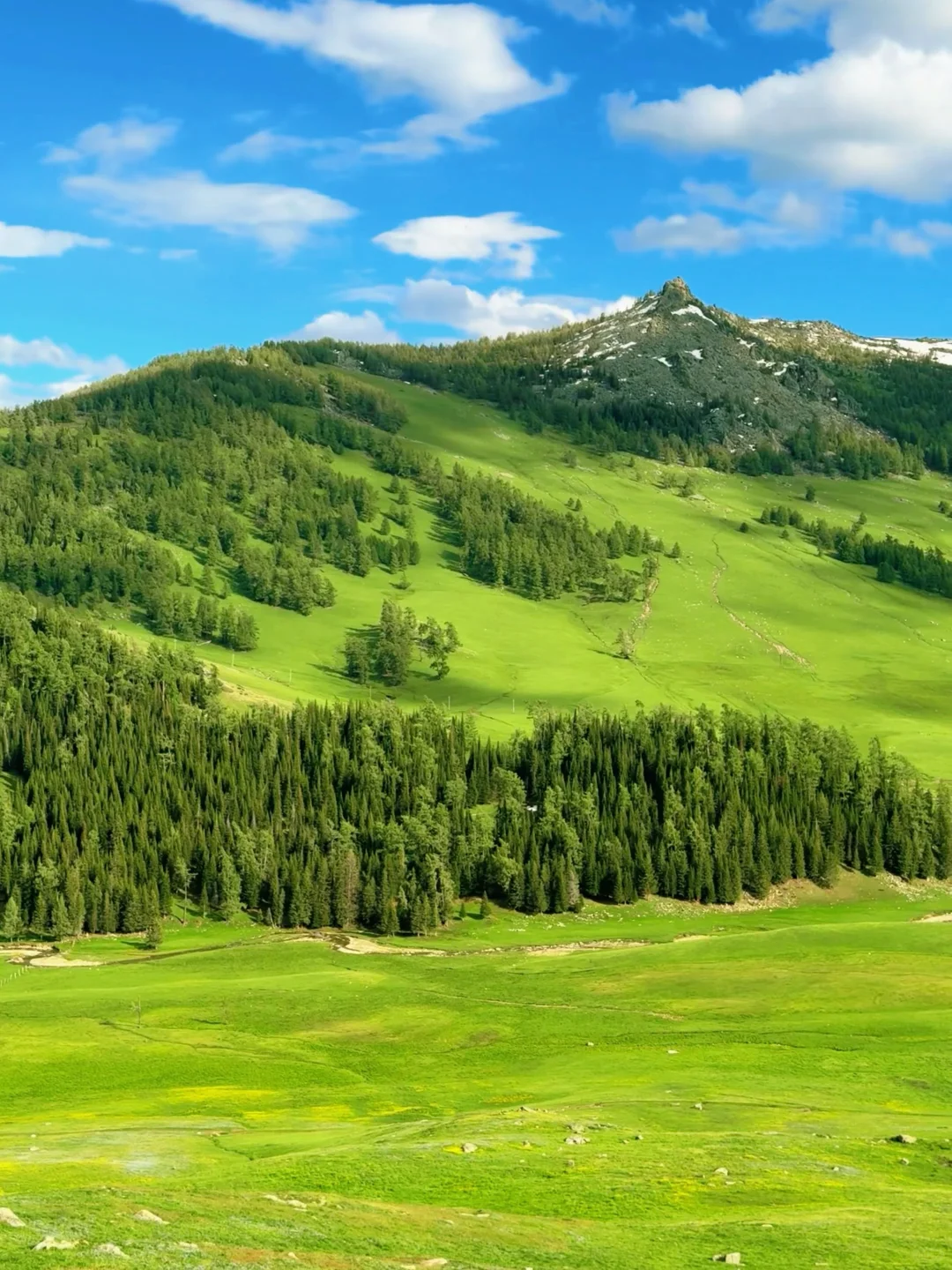 在赛里木湖拍到了我的人生live