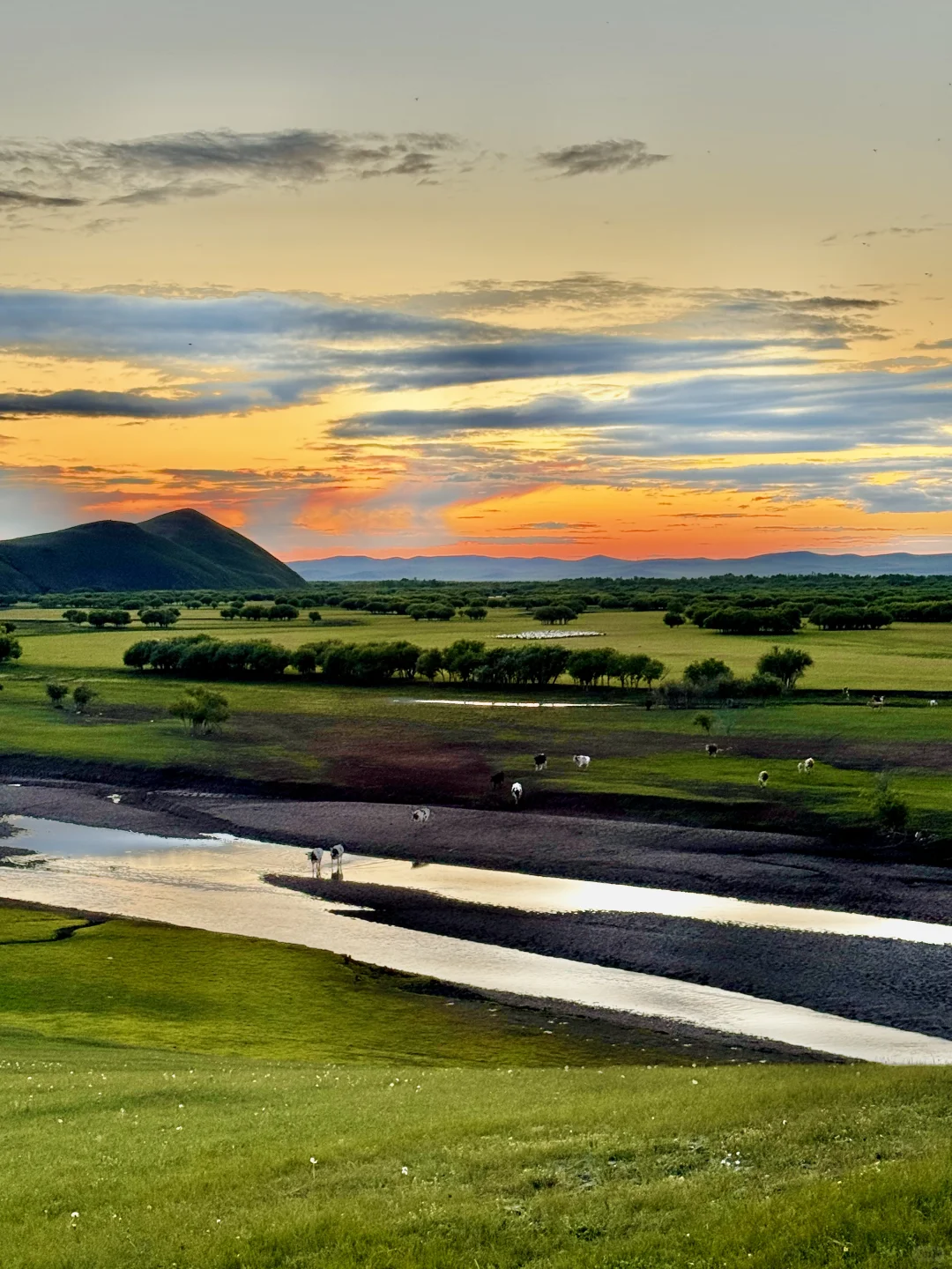 用18张live图打开呼伦贝尔的夏天，附路线🗺