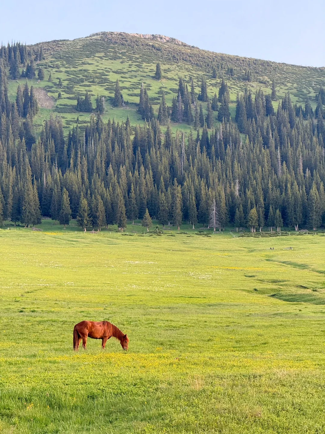 和老公新疆已回📍玩了9天消费观彻底崩塌了