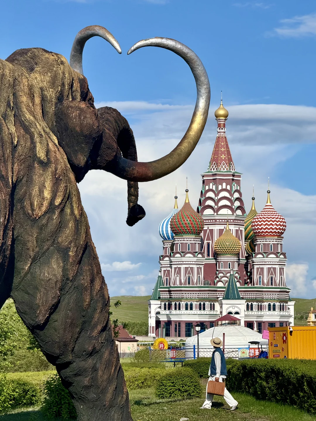 Live｜不敢相信，海的尽头是草原～