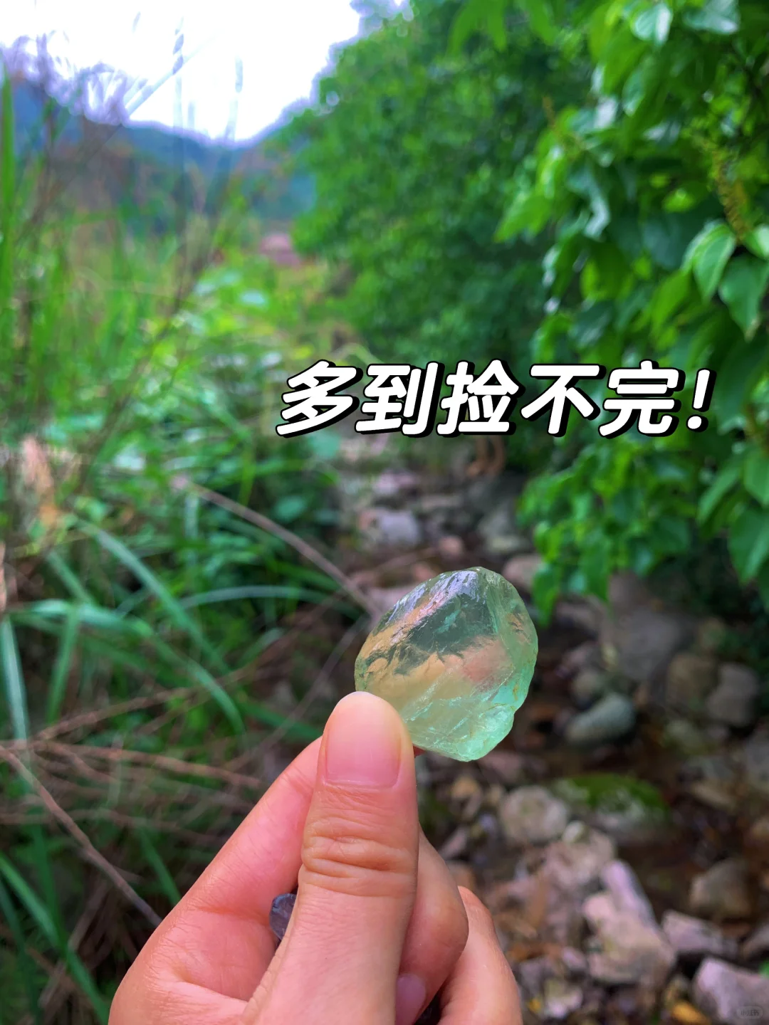 嵊州这里超多💎宝石可捡 | 亲子遛娃好去处