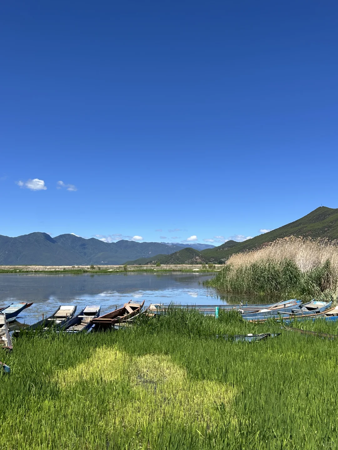 6.7泸沽湖live 晴天的泸沽湖每一帧都很美