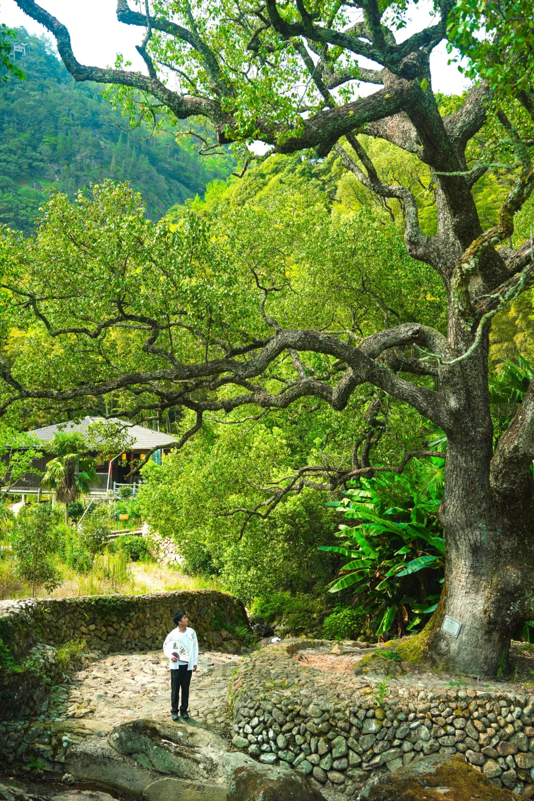 国庆反向旅游成功😃推荐一个被低估的小城