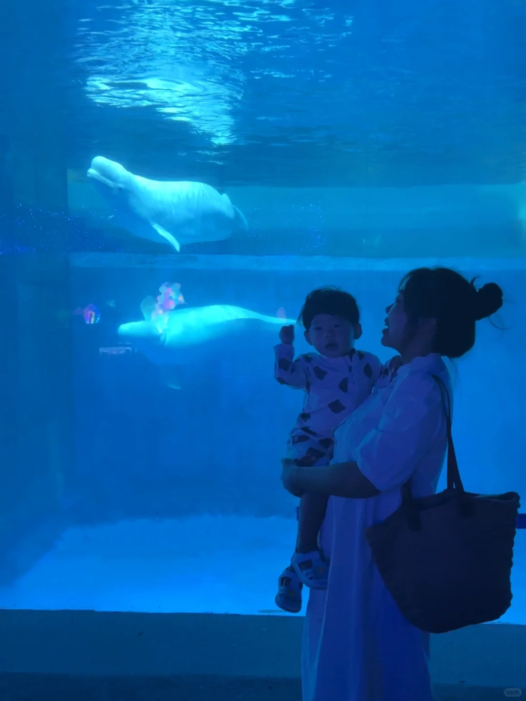 北戴河3天2夜亲子游路线✅体验真的超预期❗️