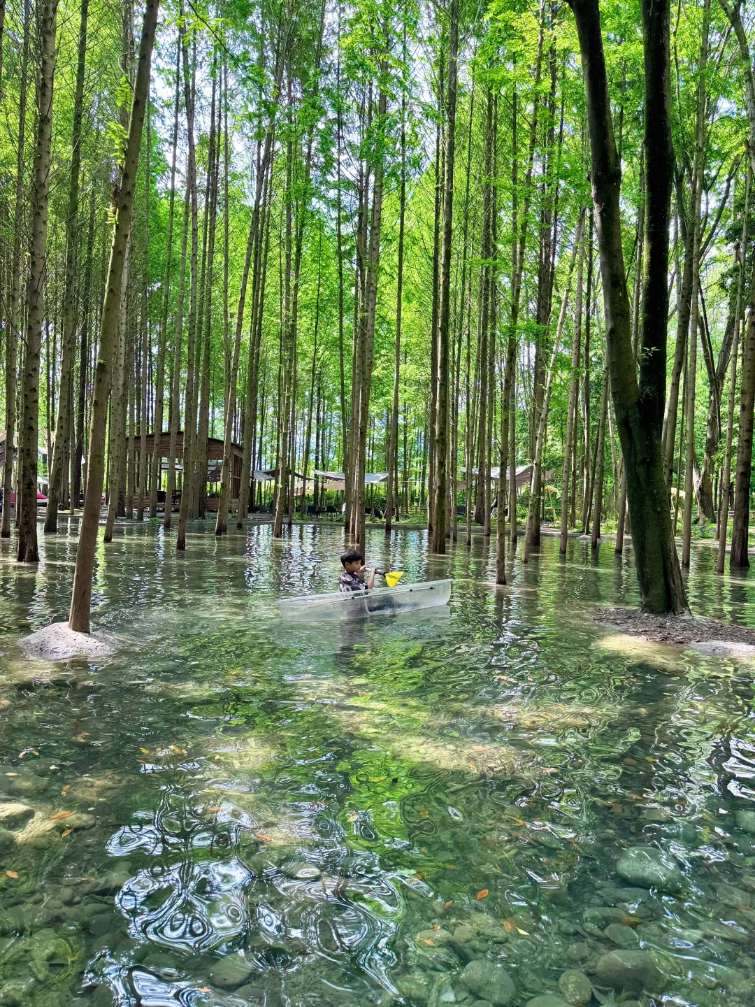 🍃五一还没想好去哪？冲这个神仙森林营地！！