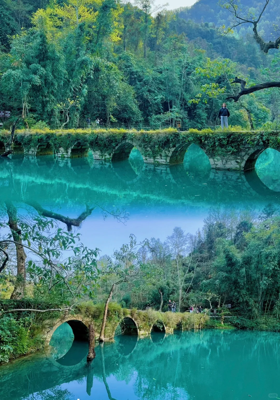 🌿闯入荔波小七孔，邂逅人间绿宝石🌿