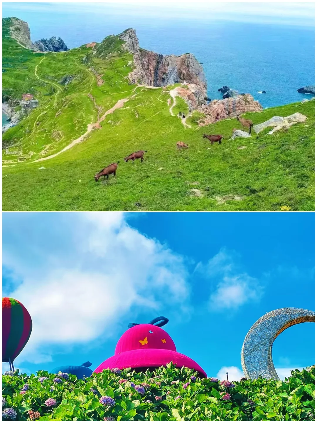 高铁2h直达，凉爽又小众的六个城市