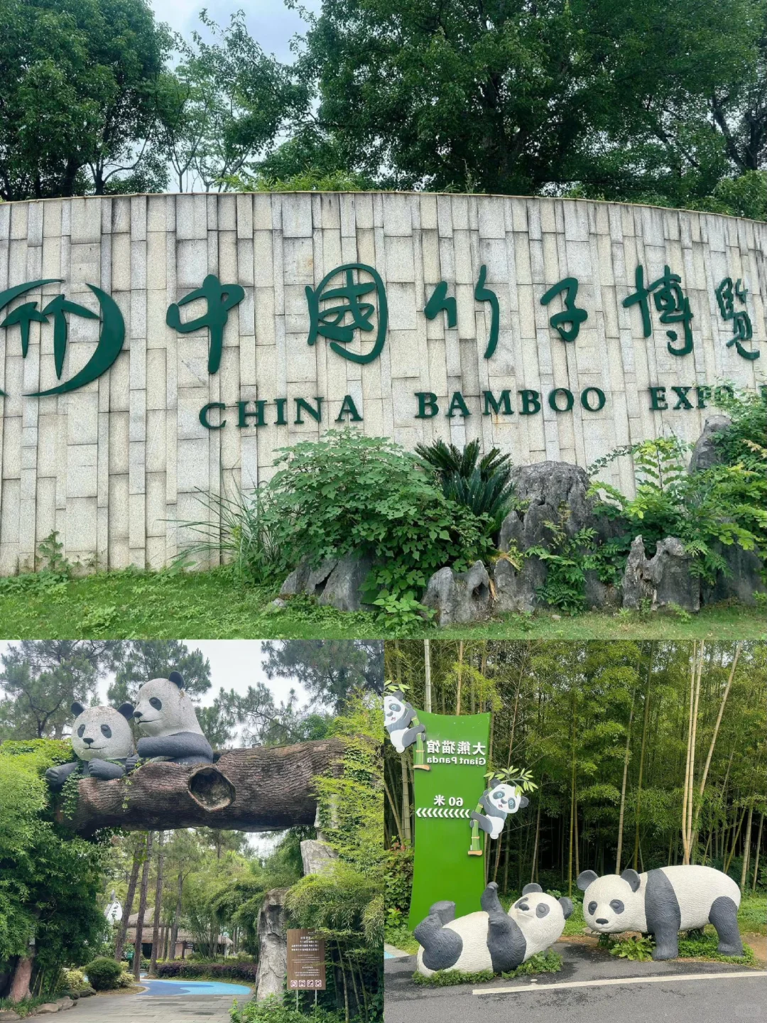 🌈湖州|6-8月淡季真香！人少景美攻略来啦