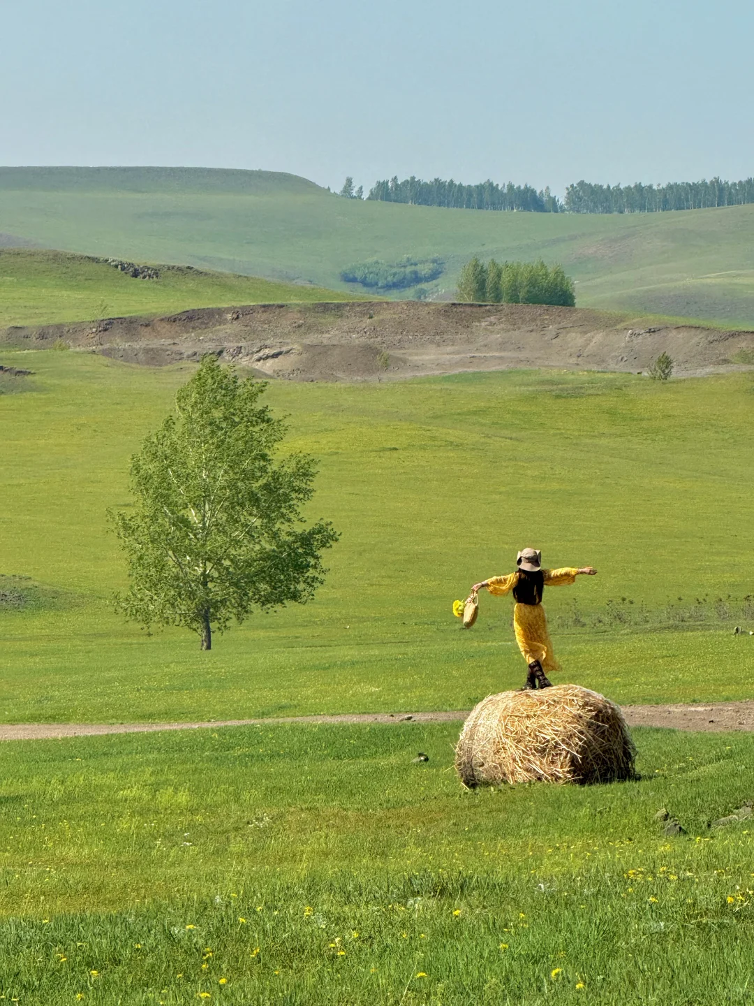 “人生三万天，总要留6天给呼伦贝尔吧～🐏”