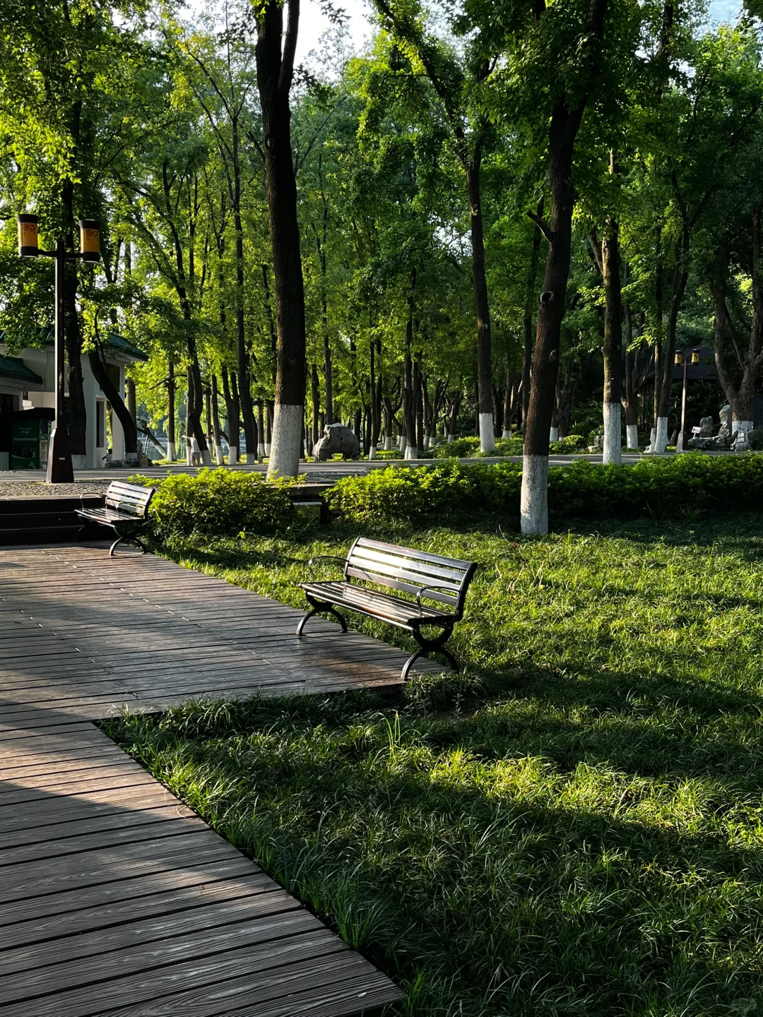 东湖听涛景区 i人的散步天堂🌈