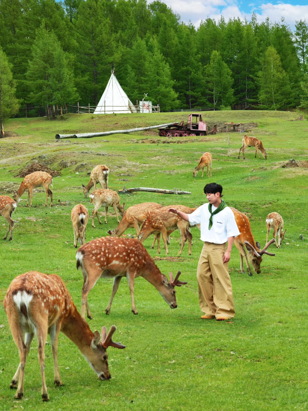 朋友圈问疯了！不是瑞士新西兰，在呼伦贝尔