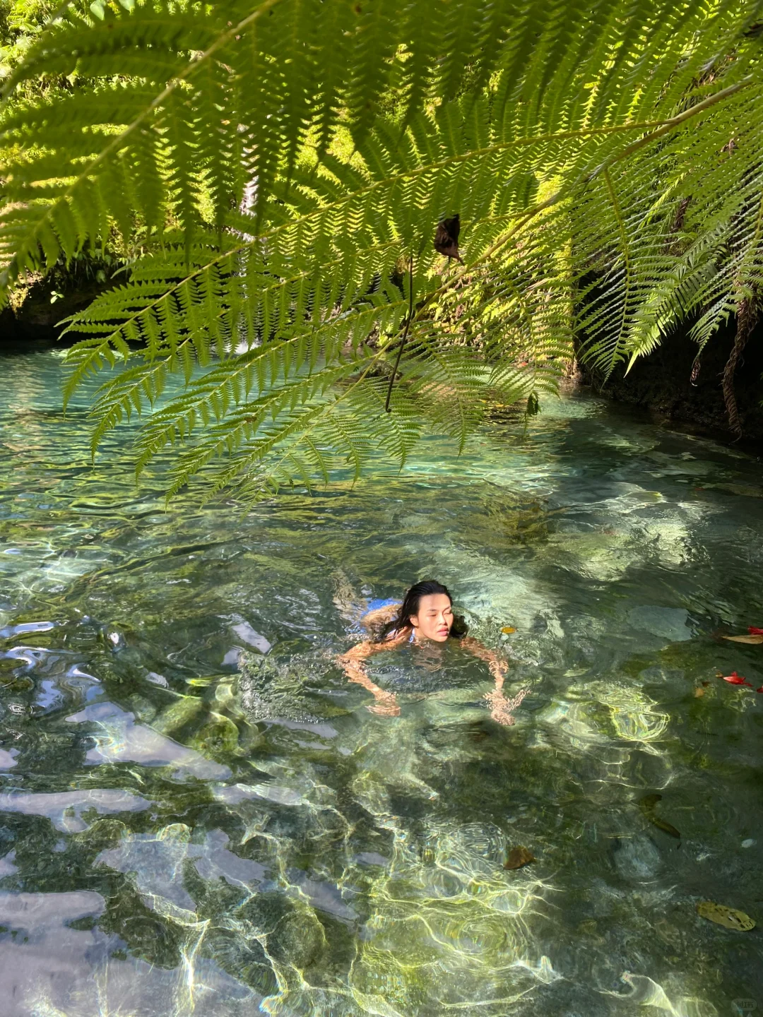 🌸误入人间仙境🍃