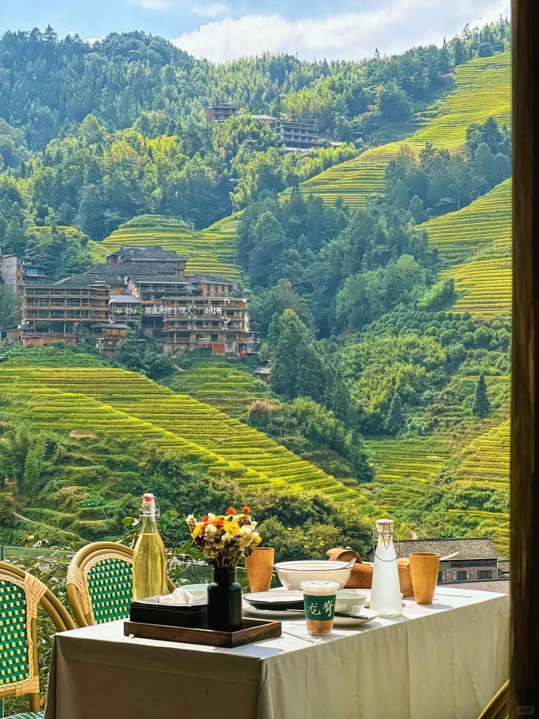 阳朔，刚退房！感谢赵露思😭😭美哭了