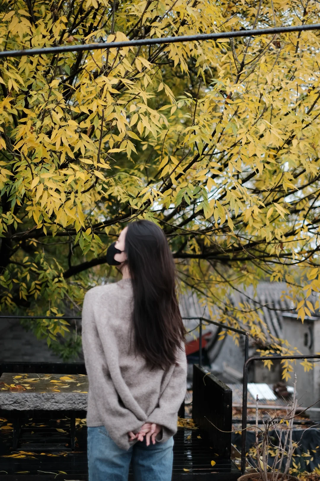 solo trip目的地推荐（国内版