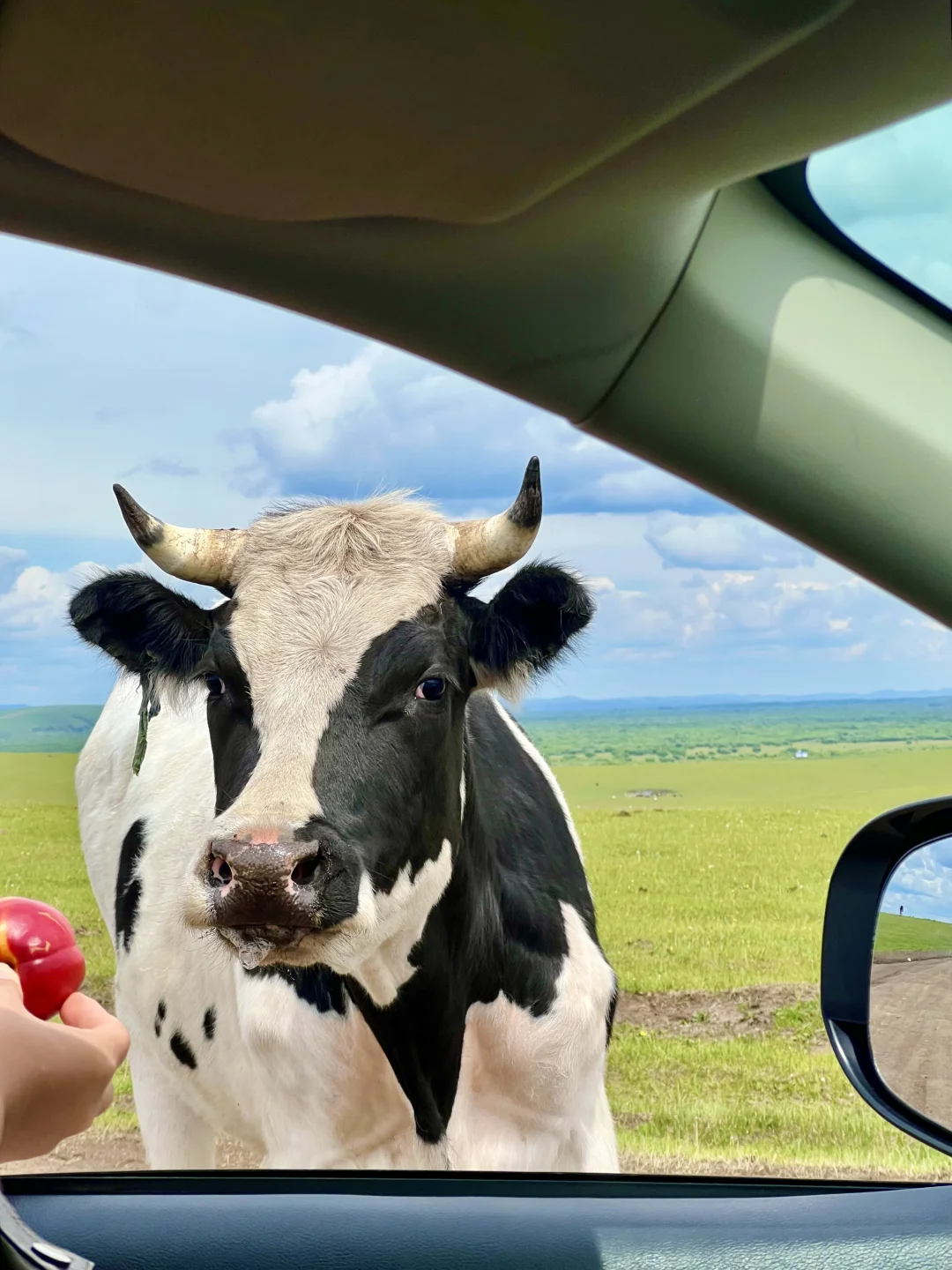 Live｜不敢相信，海的尽头是草原～