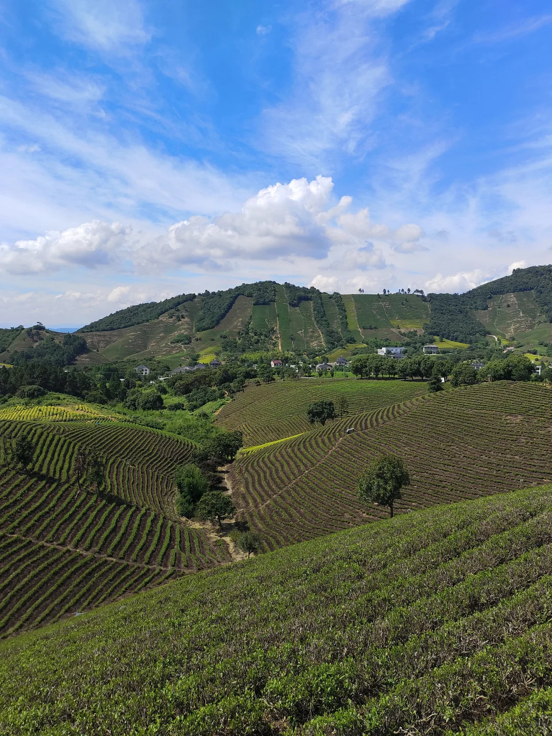 浙江4+2丨天荒坪蓝房子/OKKA乡野骑行社