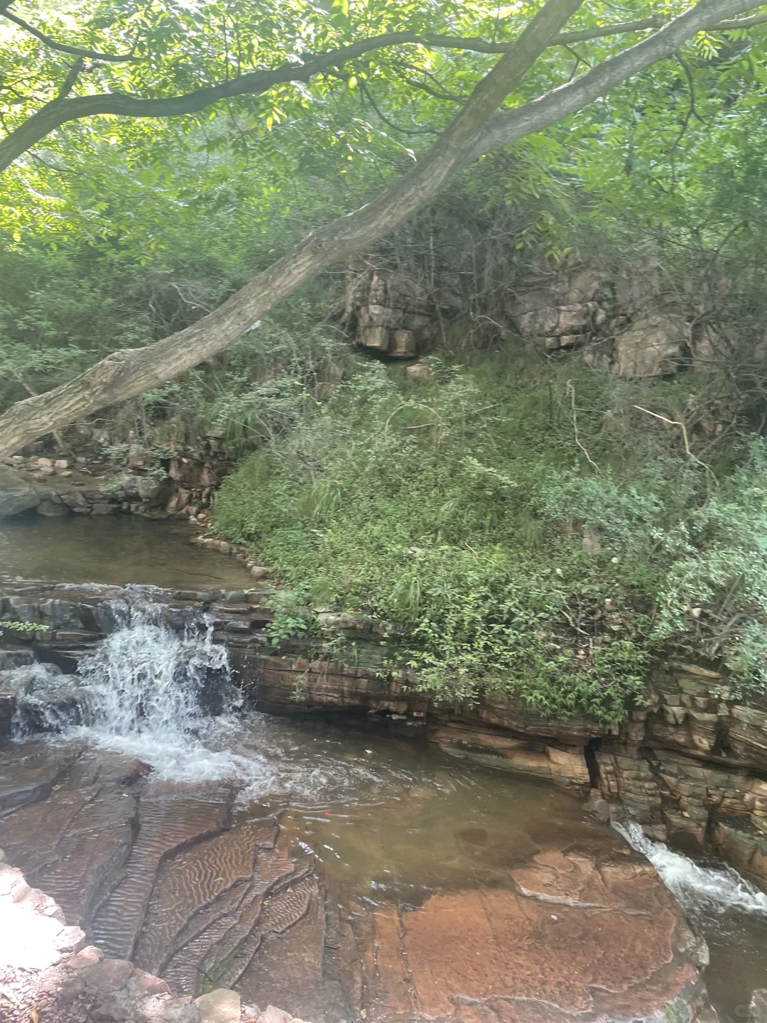 邯郸周末遛娃16/50🌈比市区低十度踩水好地