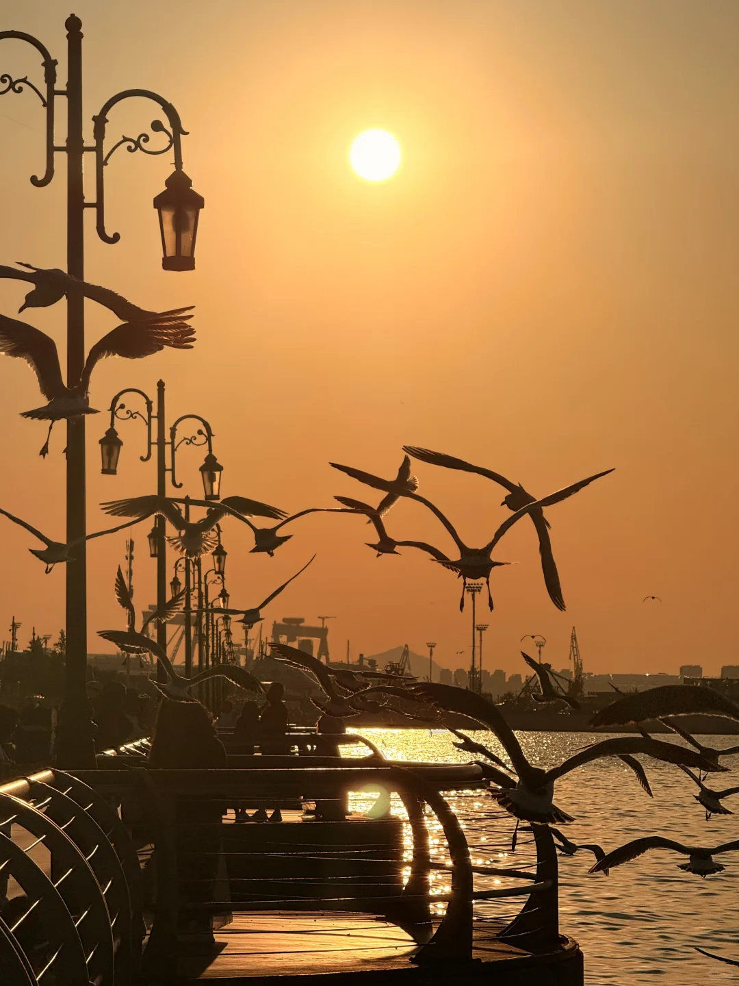 大连刚回来！18张live图不足以表现她的美！！