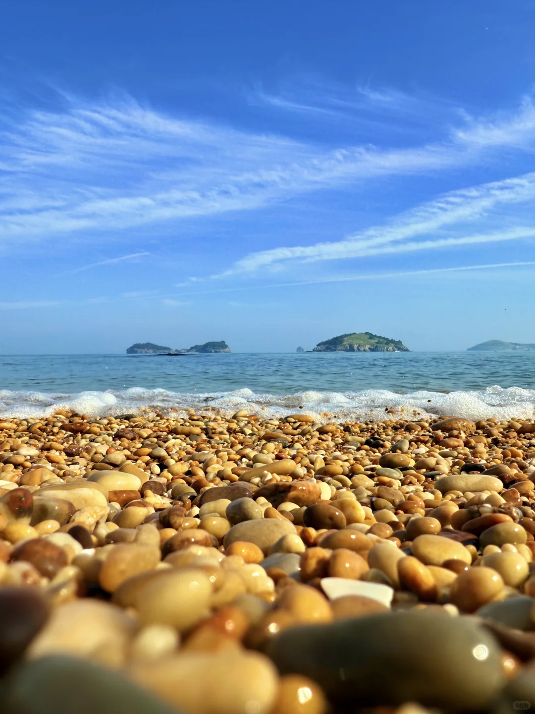 大连刚回来！18张live图不足以表现她的美！！