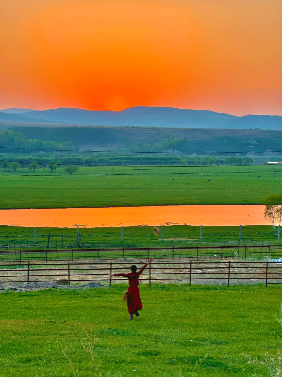 为了这18张live图，专门飞了趟呼伦贝尔…