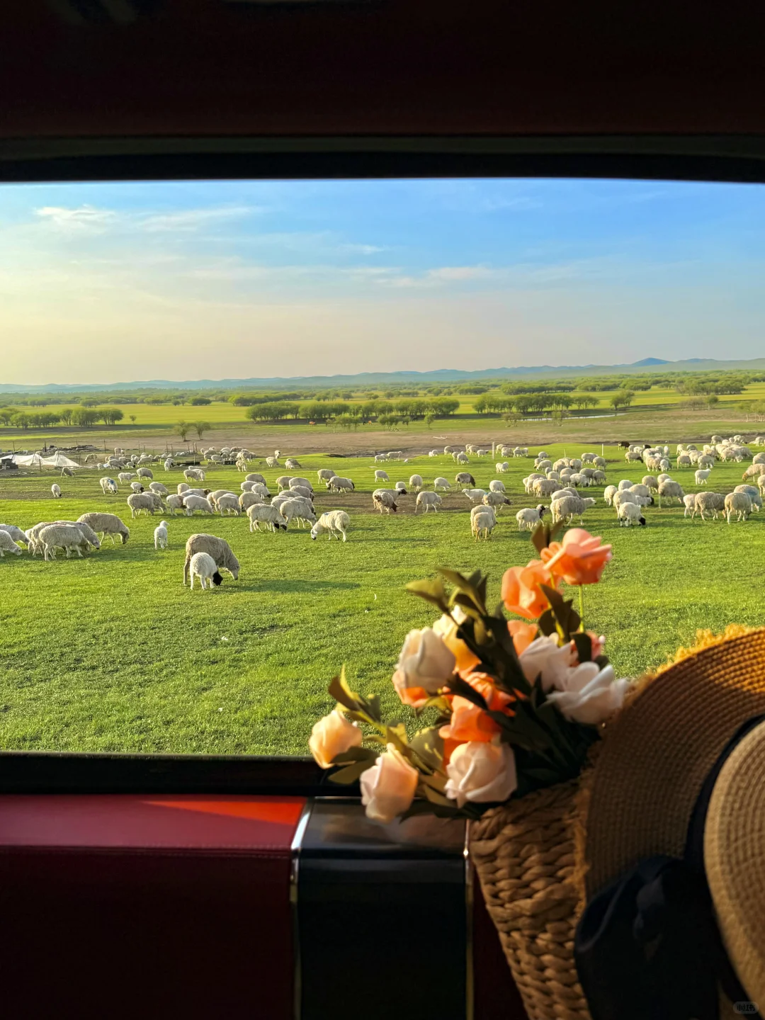 “人生三万天，总要留6天给呼伦贝尔吧～🐏”