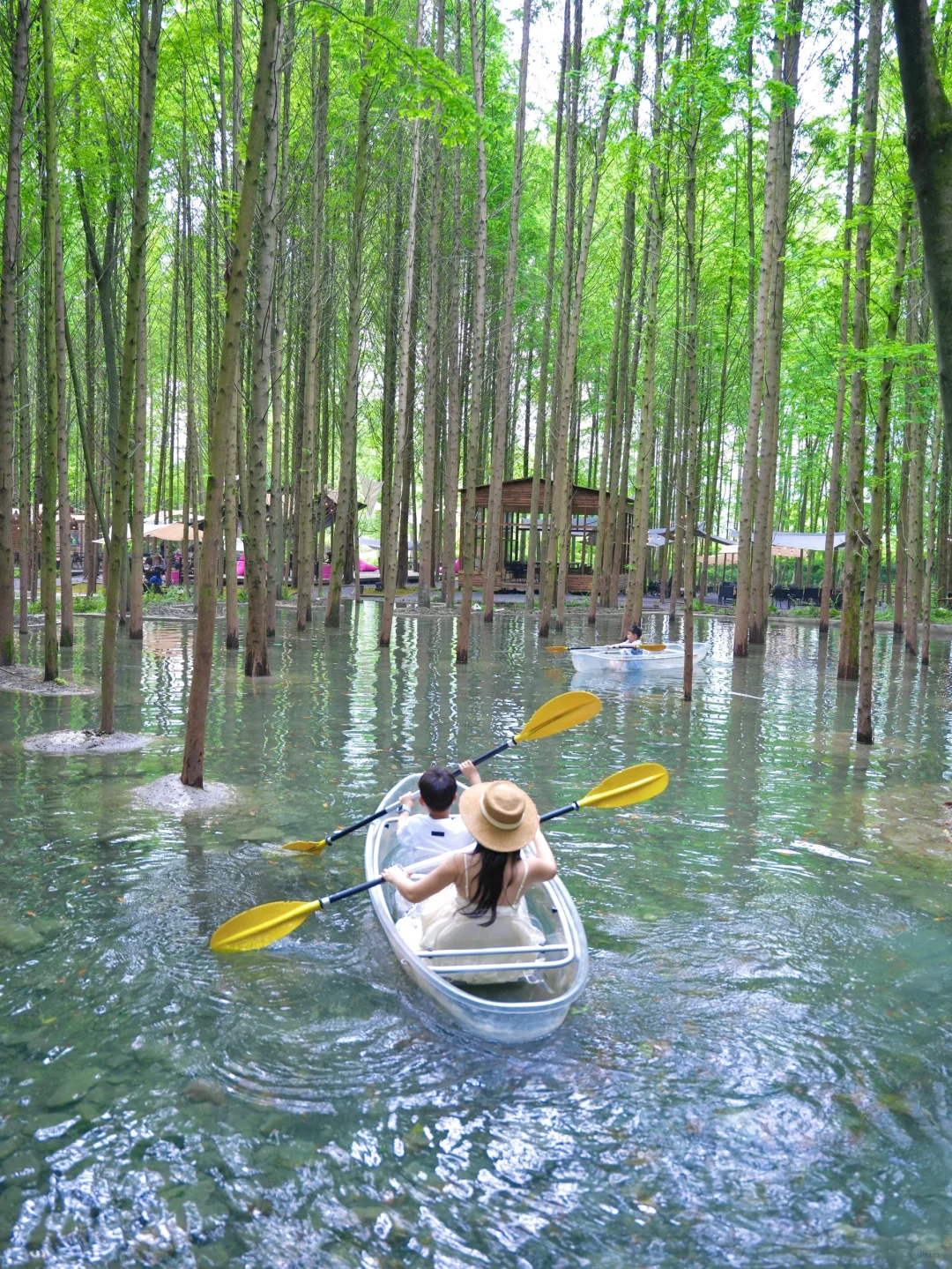 🍃五一还没想好去哪？冲这个神仙森林营地！！