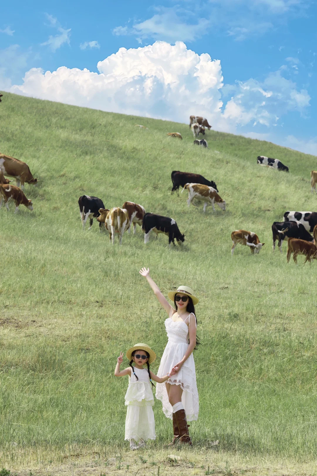 为了这18张图，带孩子飞了一趟呼伦贝尔草原