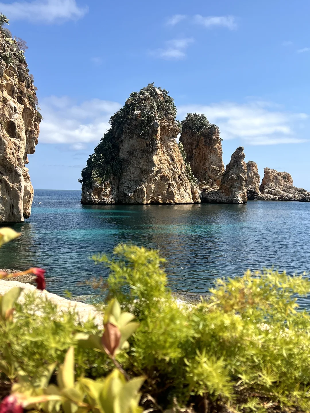 live图的意义｜属于西西里岛的夏日长梦