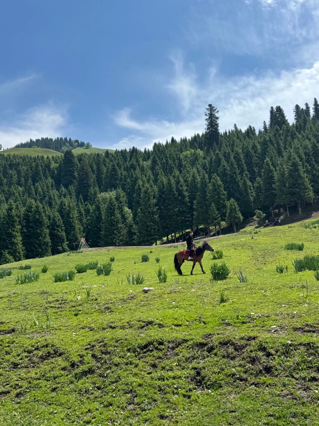 和老公新疆已回📍玩了9天消费观彻底崩塌了