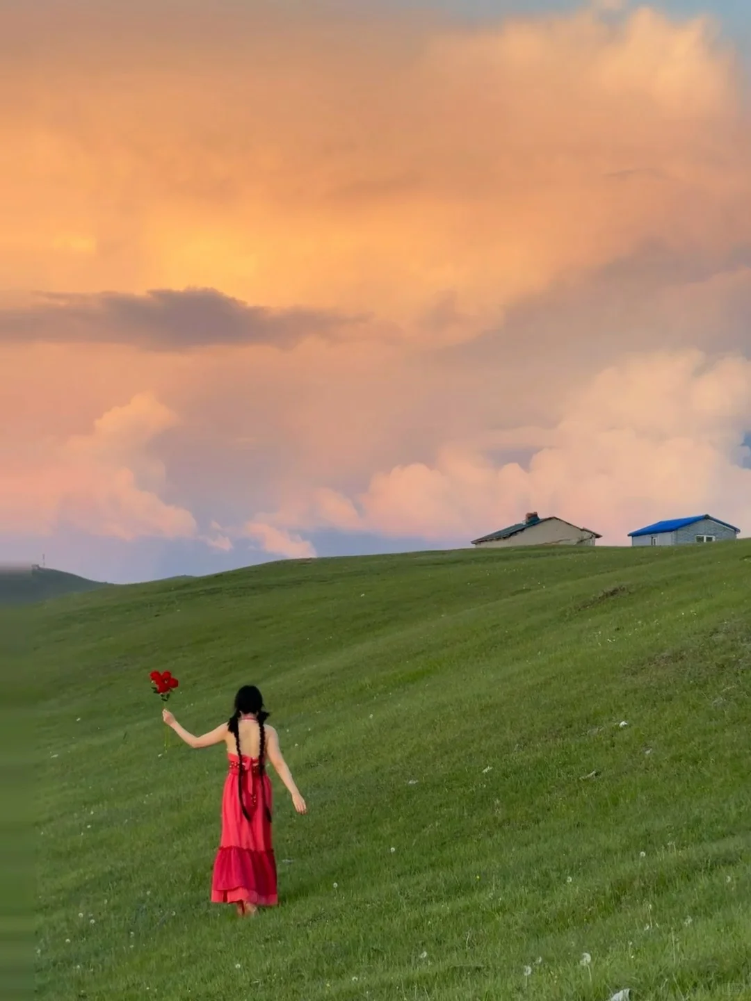 用18张live图打开呼伦贝尔的夏天，附路线🗺