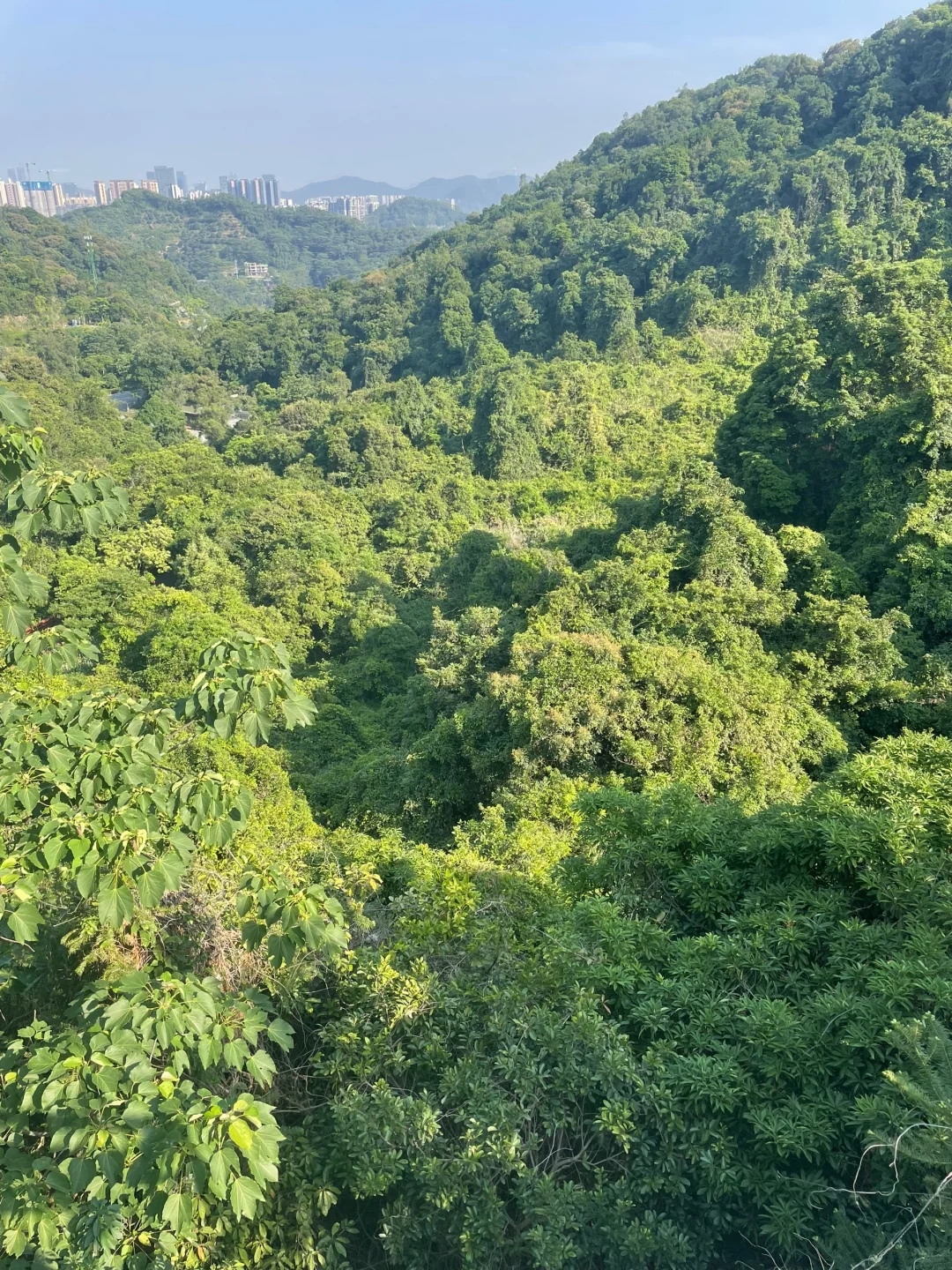 大自然~天然氧吧,专治“不开心”