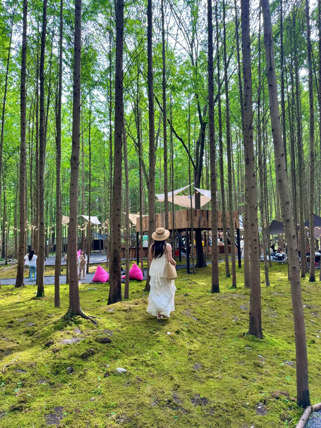 🍃五一还没想好去哪？冲这个神仙森林营地！！