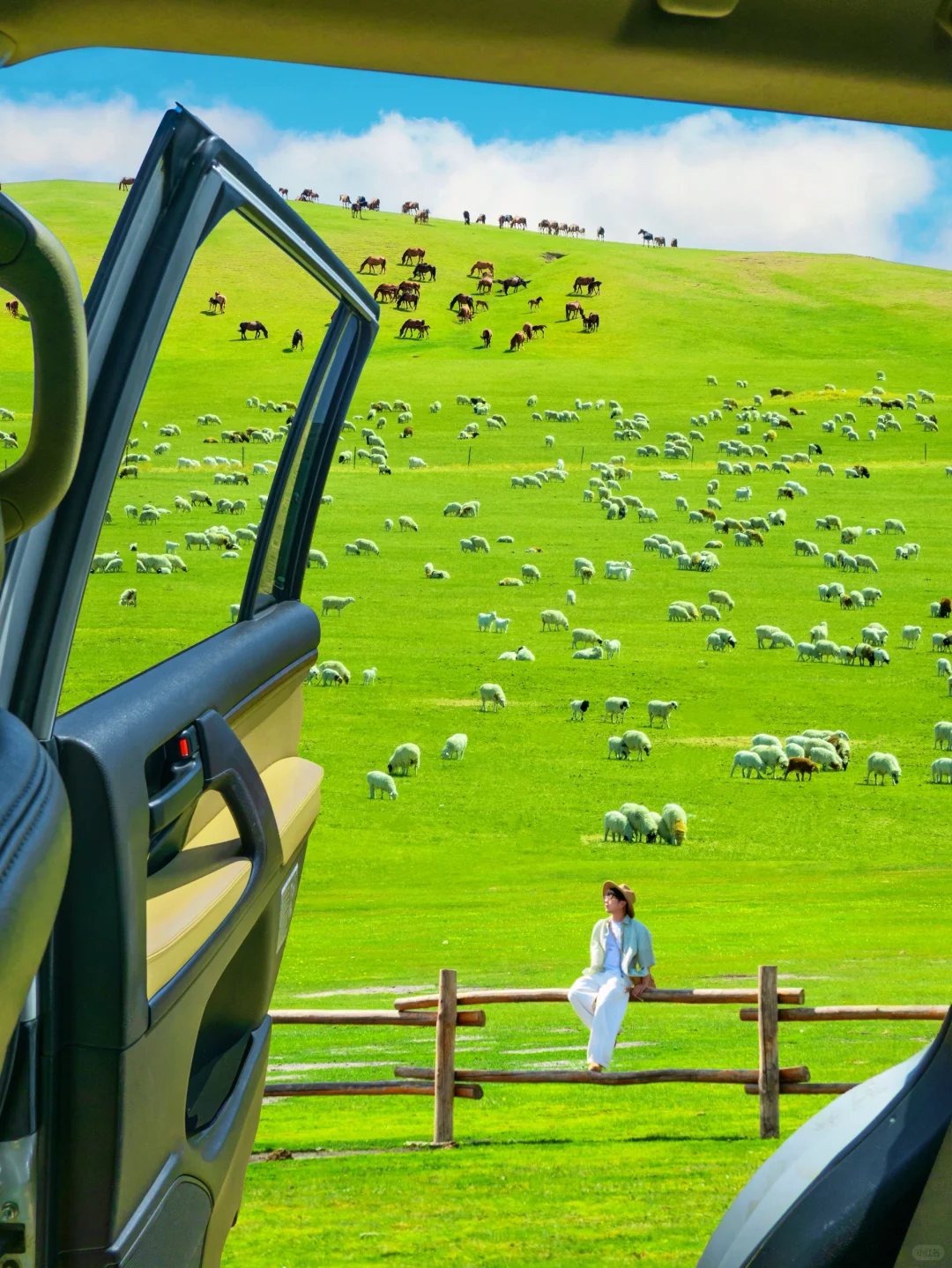 朋友圈问疯了！不是瑞士新西兰，在呼伦贝尔