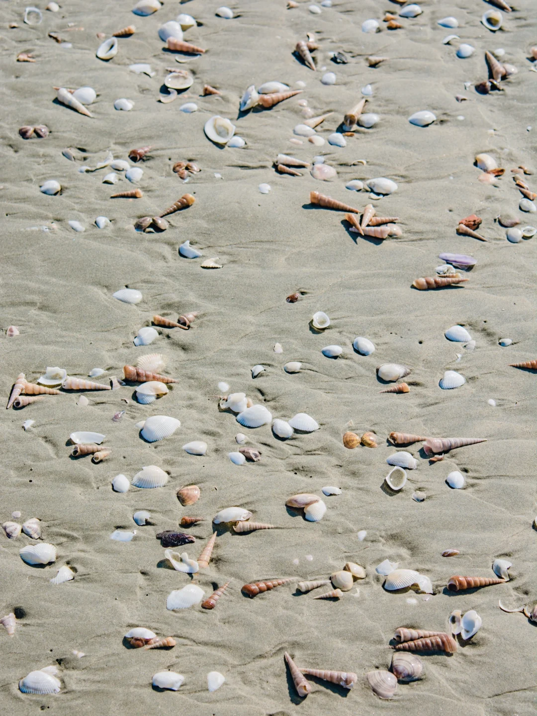 迄今为止,我最喜欢的海城小城出现了