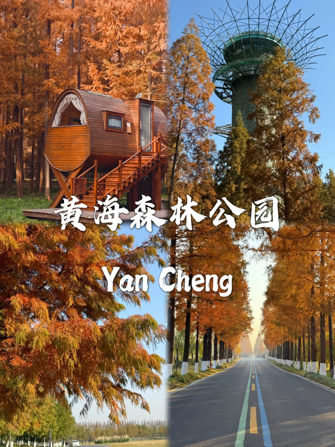 盐城最值得去的九个景点打卡✅