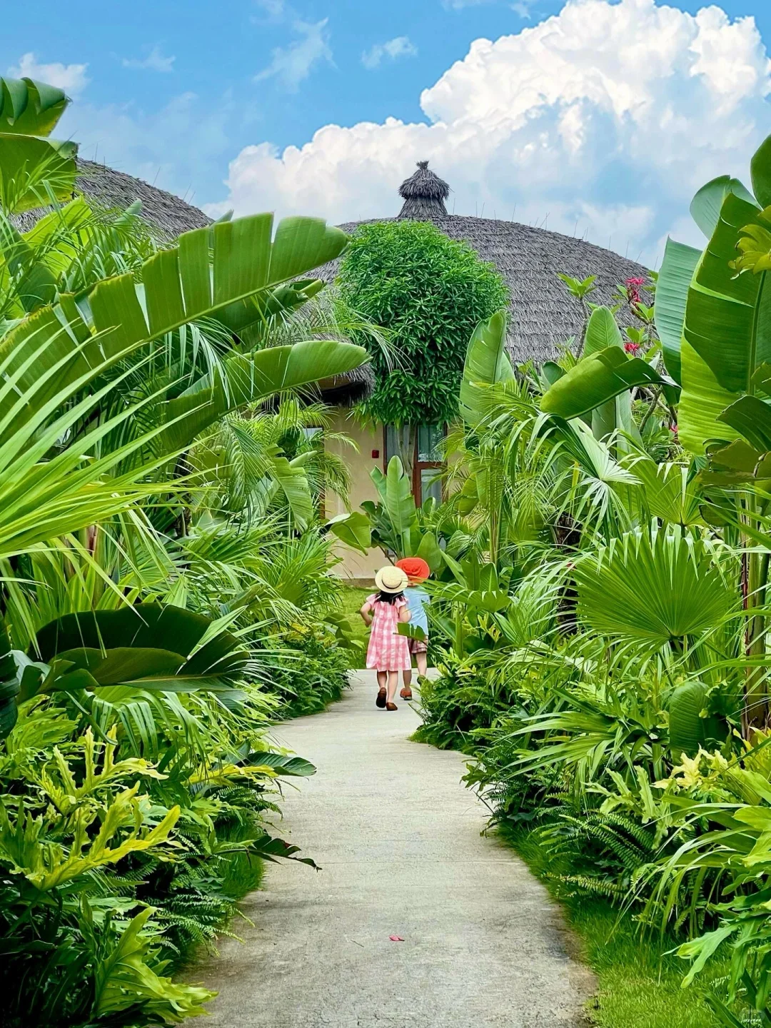 人生建议:这个夏天一定要带孩子来一趟崇左