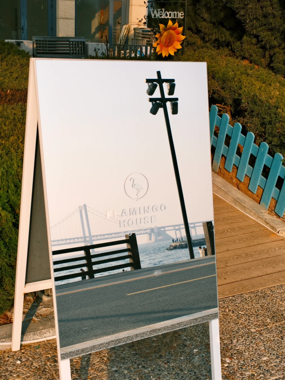 海边城市才有的lalaland…美在了我的心尖上