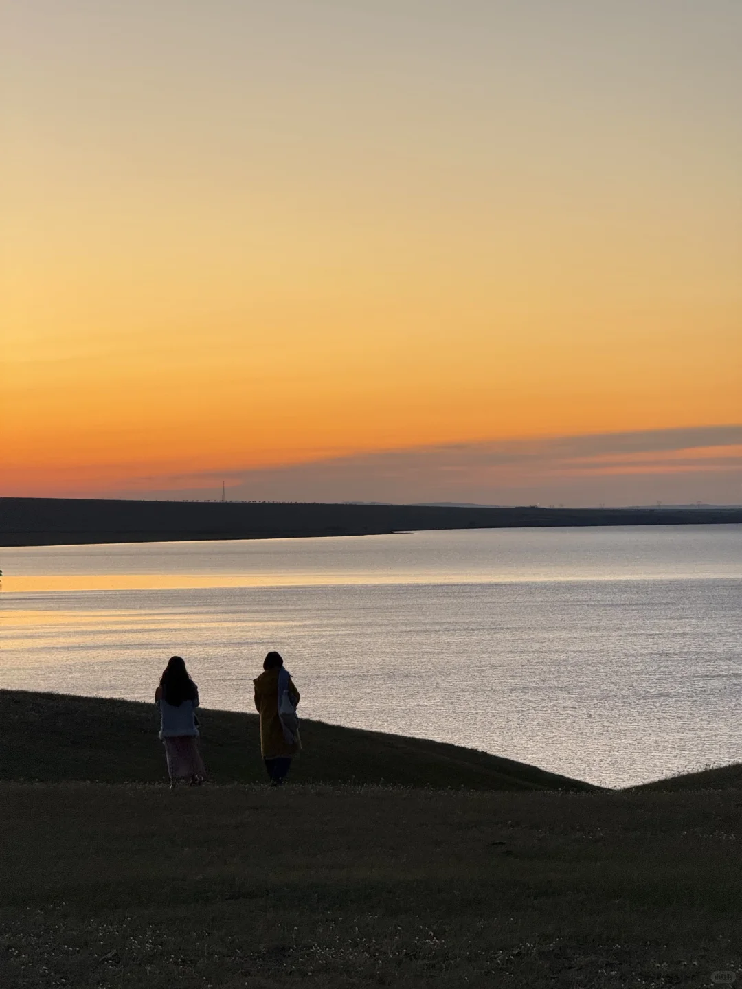 live图 不敢相信，草原的尽头是大海～