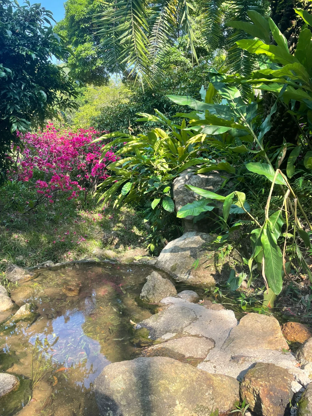 大自然~天然氧吧,专治“不开心”