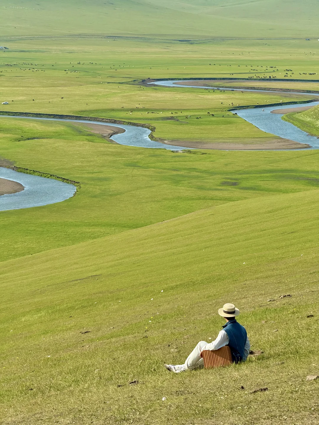 Live｜不敢相信，海的尽头是草原～